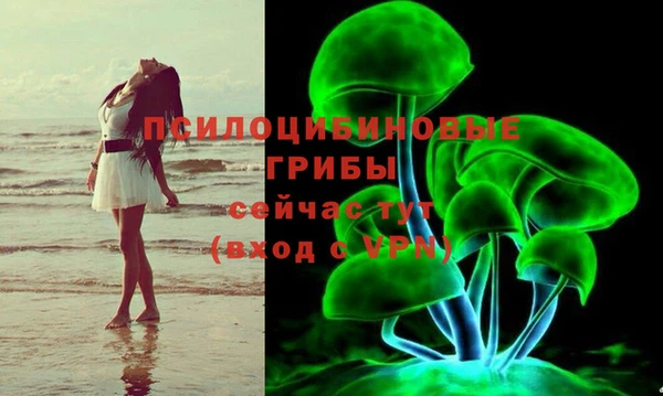 спайс Алексеевка